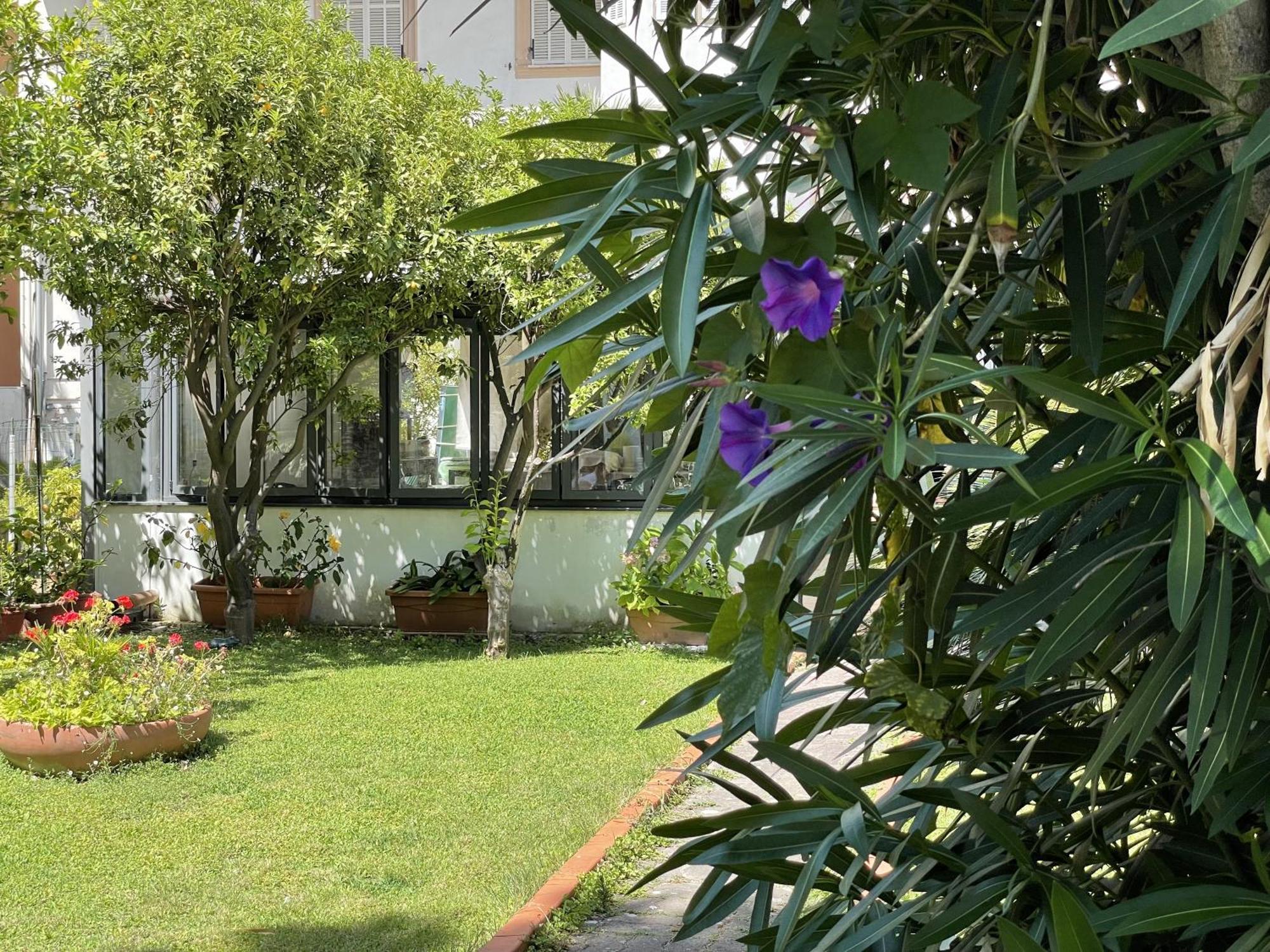 Hotel Rosalia Bordighera Eksteriør billede